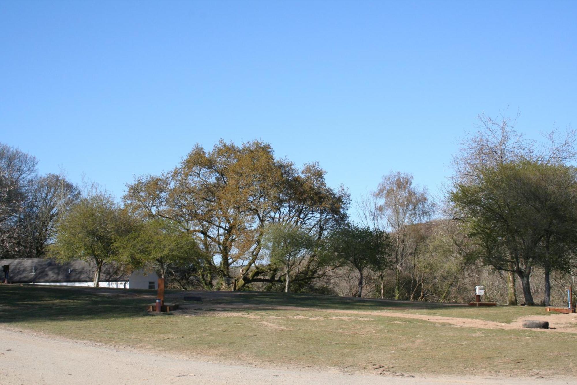 Great Trethew Manor Hotel & Self Catering Lodges Liskeard Εξωτερικό φωτογραφία
